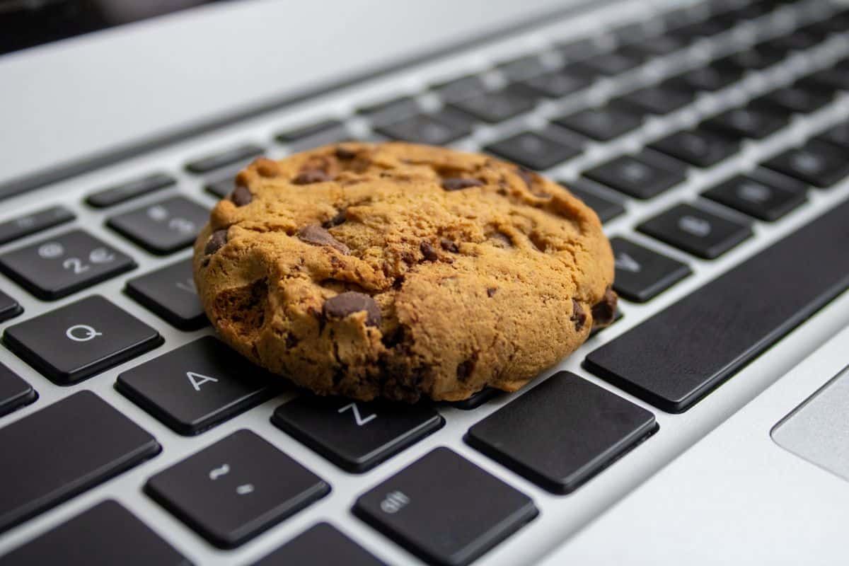 Cookie Basics: Everything You Should Know About Internet Cookies