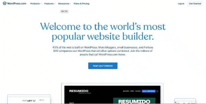 WordPress Website